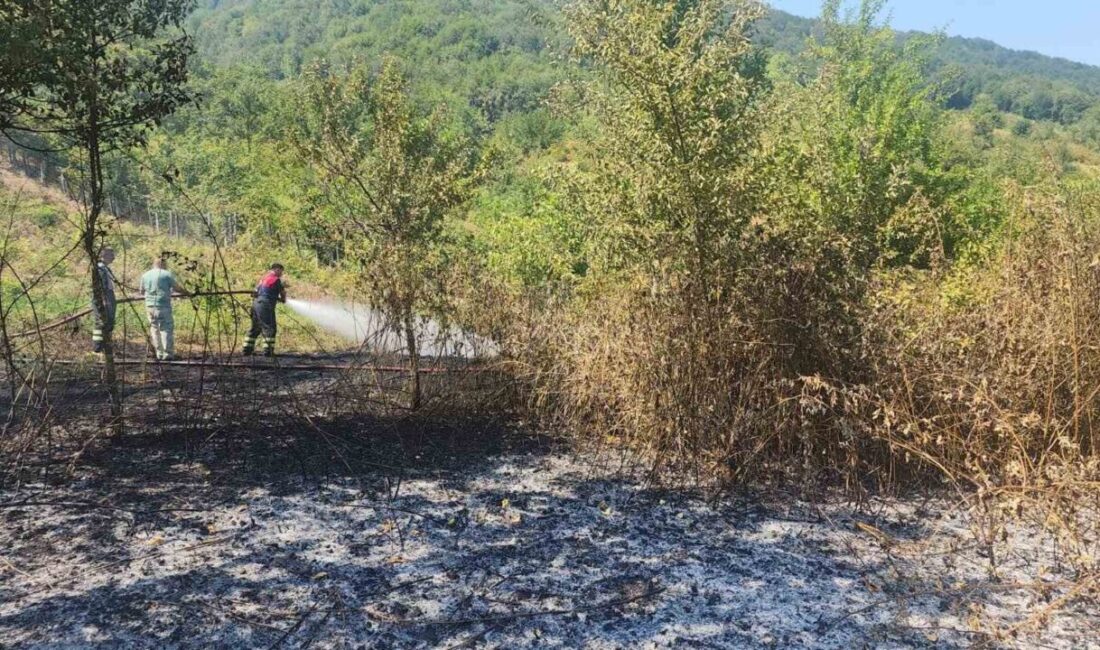Bartın’da tarlada çıkan anız yangını, ekiplerin müdahalesiyle ormana ve yerleşim