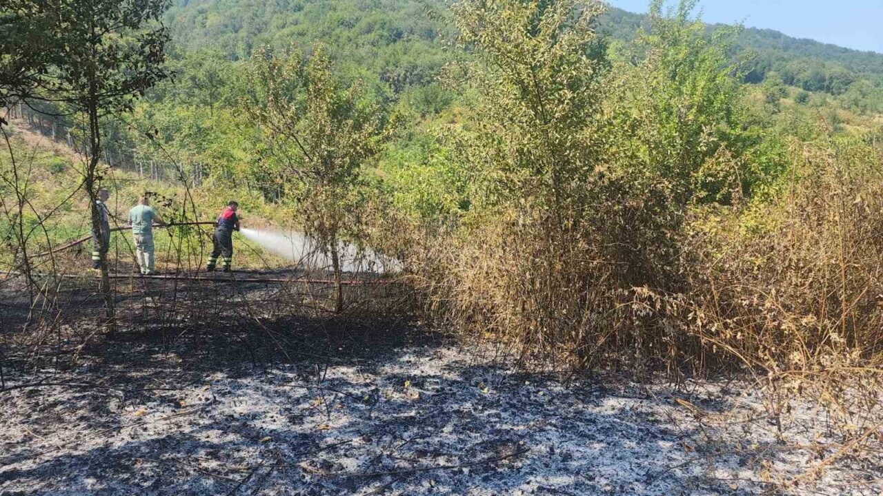 Bartın’da tarlada çıkan anız yangını, ekiplerin müdahalesiyle ormana ve yerleşim