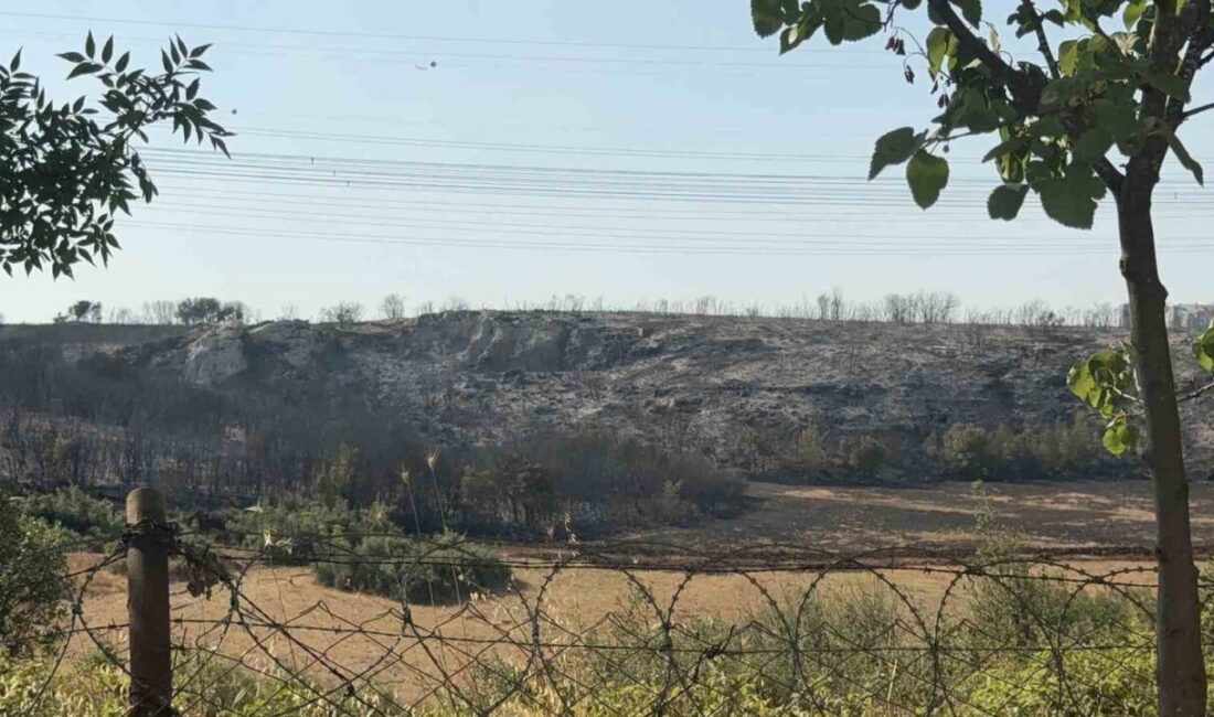 İstanbul Başakşehir’de konutlara yakın bir çalılık alanda yangın çıktı. Kısa