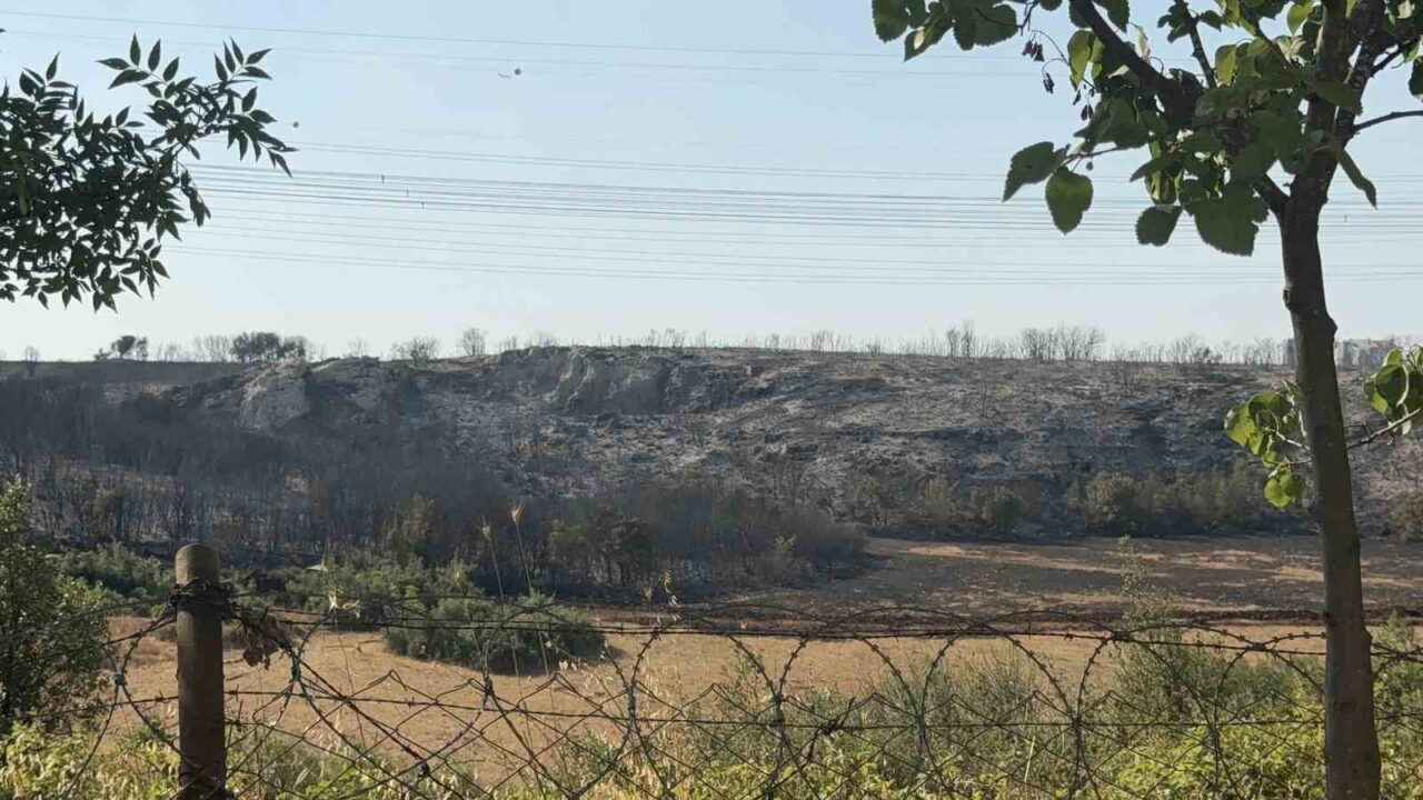 İstanbul Başakşehir’de konutlara yakın bir çalılık alanda yangın çıktı. Kısa