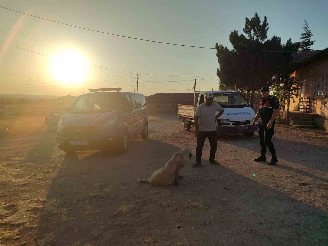 Yozgat’ın Boğazlıyan ilçesinde başıboş köpek çocuğu yaraladı. Olay Boğazlıyan ilçesine