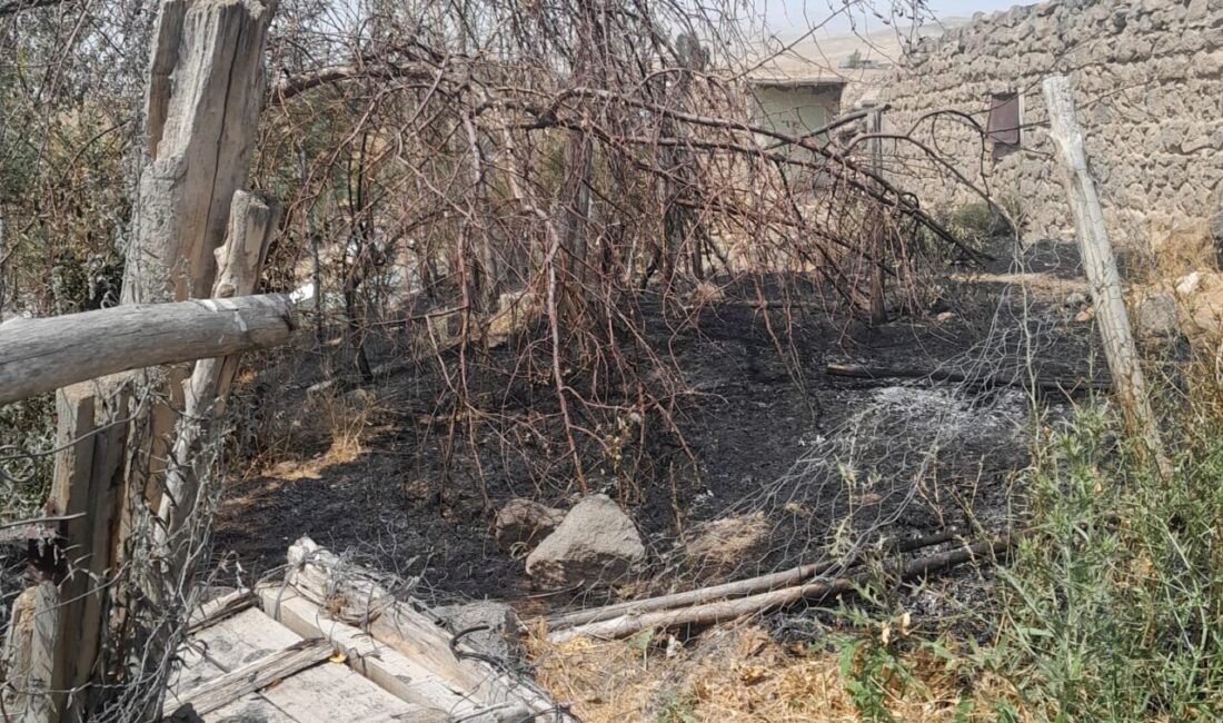 Van’ın Başkale ilçesindeki bir bahçede çıkan yangın kısa süreli paniğe