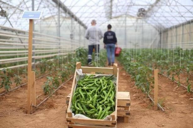 Aydın Büyükşehir Belediyesi, üretim odaklı kırsal kalkınma projeleriyle Türkiye’ye örnek