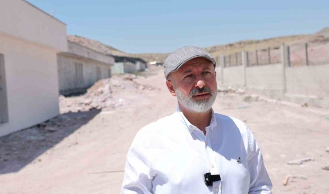 Kocasinan Belediyesi; sokak hayvanlarının huzurlu ve sağlıklı bir yaşam sürmeleri