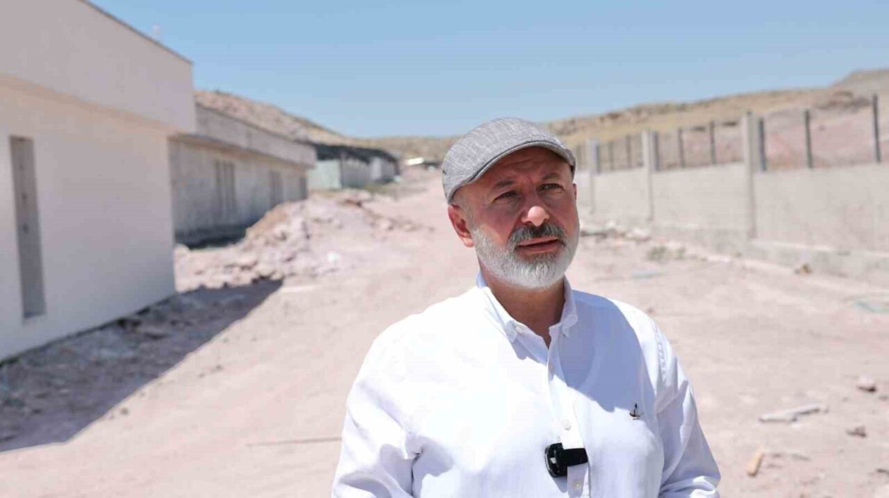 Kocasinan Belediyesi; sokak hayvanlarının huzurlu ve sağlıklı bir yaşam sürmeleri