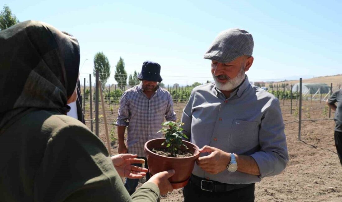 Kocasinan Belediyesinin şehir merkezinde hayata geçirdiği ve Türkiye’ye örnek olan