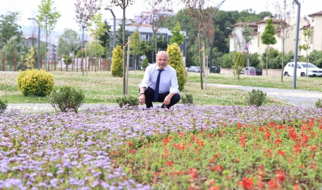 Ordu’nun Altınordu ilçesinde yüksek katlı binaların yapılması planlanan Durugöl, Büyükşehir