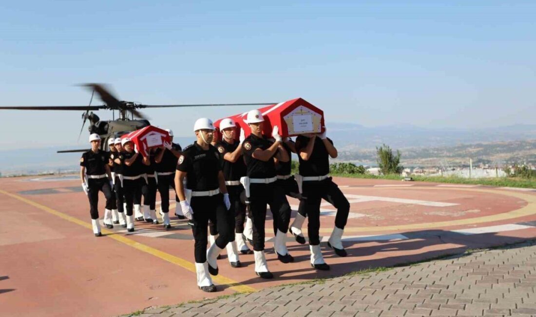 Eskişehir’in Seyitgazi ilçesinde meydana gelen orman yangınında alevlerin arasında kalarak