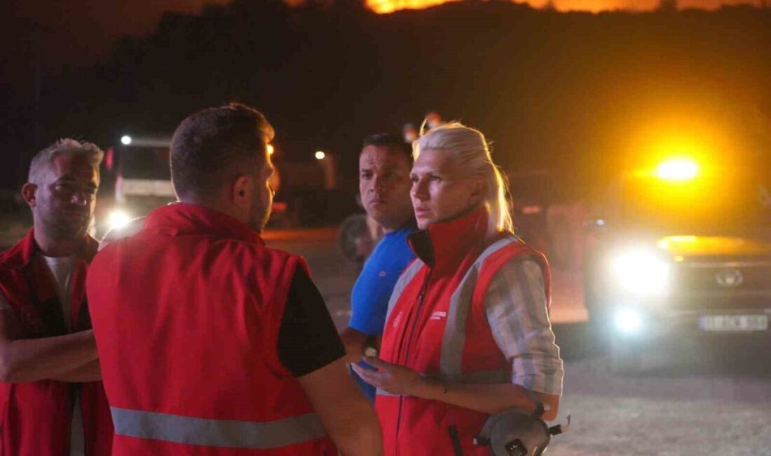 Bilecik Belediye Başkanı Melek Mızrak Subaşı, Sakarya sınırından başlayarak Osmaneli