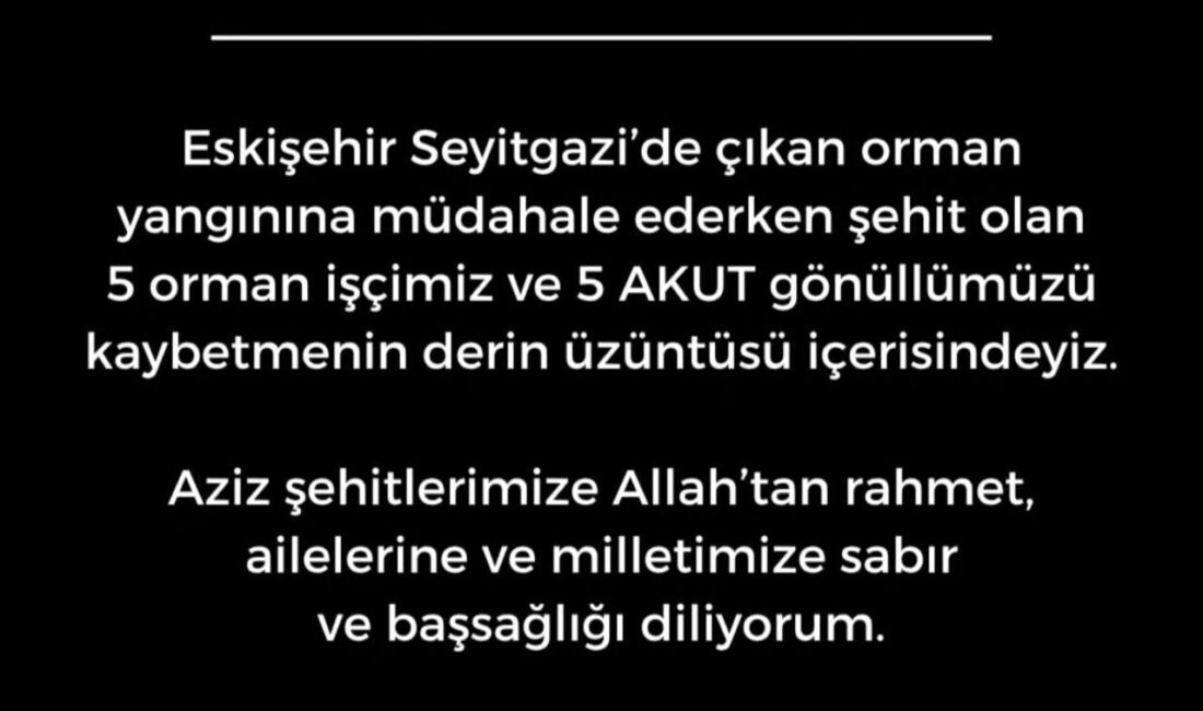 Eskişehir’in Seyitgazi ilçesinde meydana gelen orman yangınında alevlerin arasında kalarak