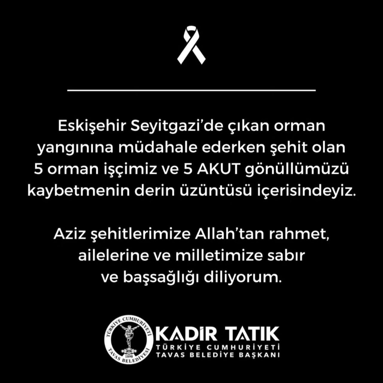 Eskişehir’in Seyitgazi ilçesinde meydana gelen orman yangınında alevlerin arasında kalarak