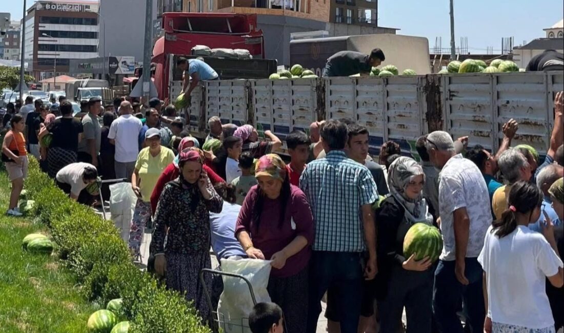 Osmaniye’nin Düziçi ilçesinde 100 dönümlük arazisine karpuz eken çiftçiye belediye