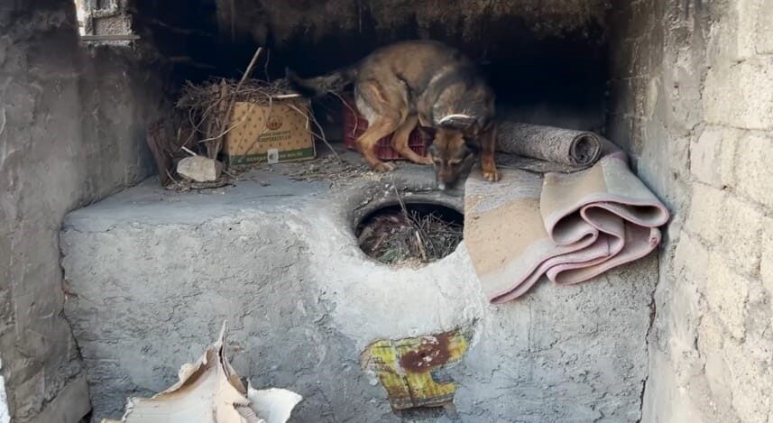 Batman’da bir evin ek bölümünde bulunan ekmek tandırında 3 kilo