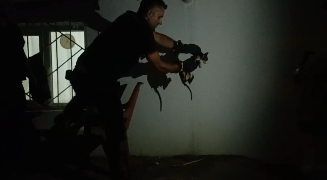 Batman’ın Fatih Mahallesi’nde lavabo borusuna sıkışan bir kedi, itfaiye ekiplerinin