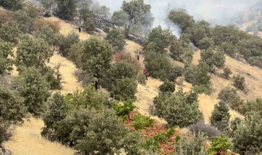 Batman’ın Gercüş ilçesinde çıkan örtü ve orman yangının yaklaşık bin