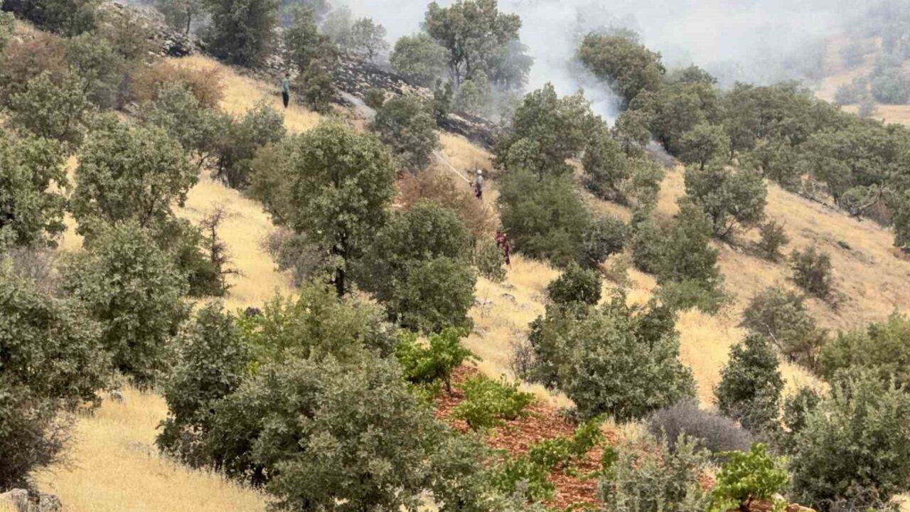 Batman’ın Gercüş ilçesinde çıkan örtü ve orman yangının yaklaşık bin