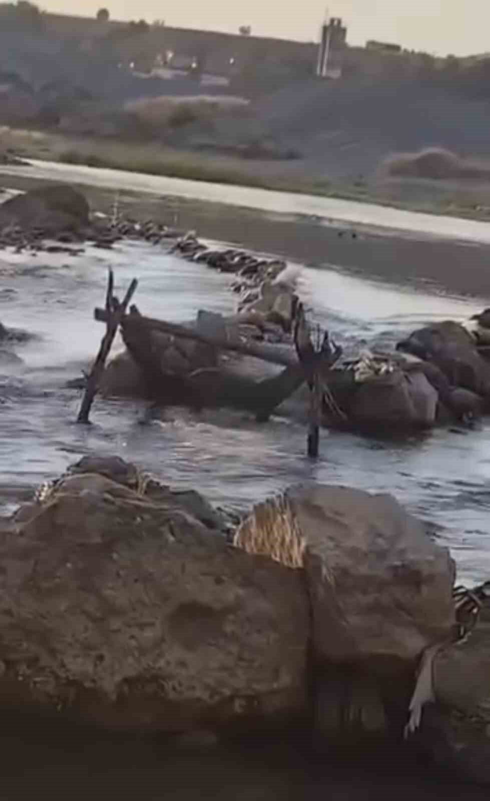 Batman’ın Kozluk ilçesinde nesli tehdit altında olan su samuru, balık