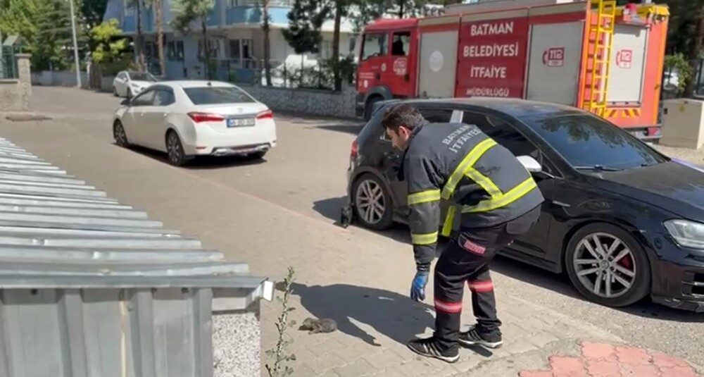 Batman’ın Gültepe Mahallesi’nde bir binanın tavan arasında sıkışan kedi, itfaiye