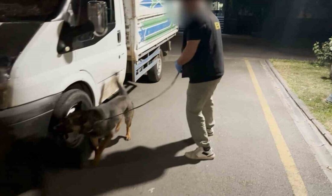 Batman’da polis ekiplerince durdurulan kamyonette dedektör köpekle yapılan aramada 4