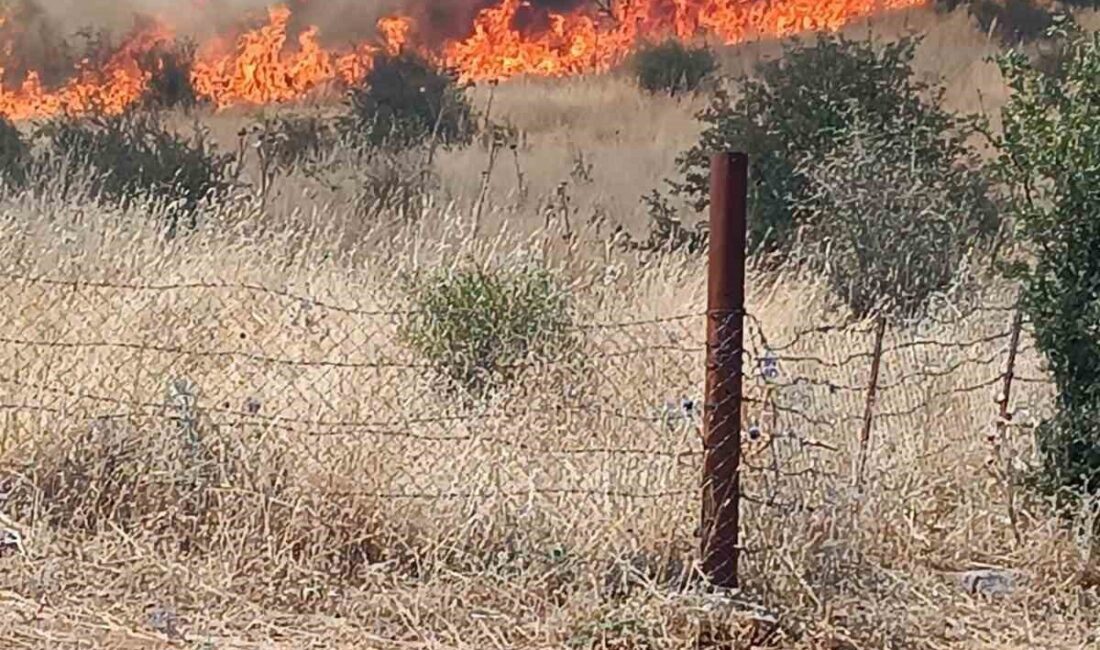 Batman’ın Sason ilçesinde ormanlık alanda çıkan yangın, itfaiye ekipleri tarafından