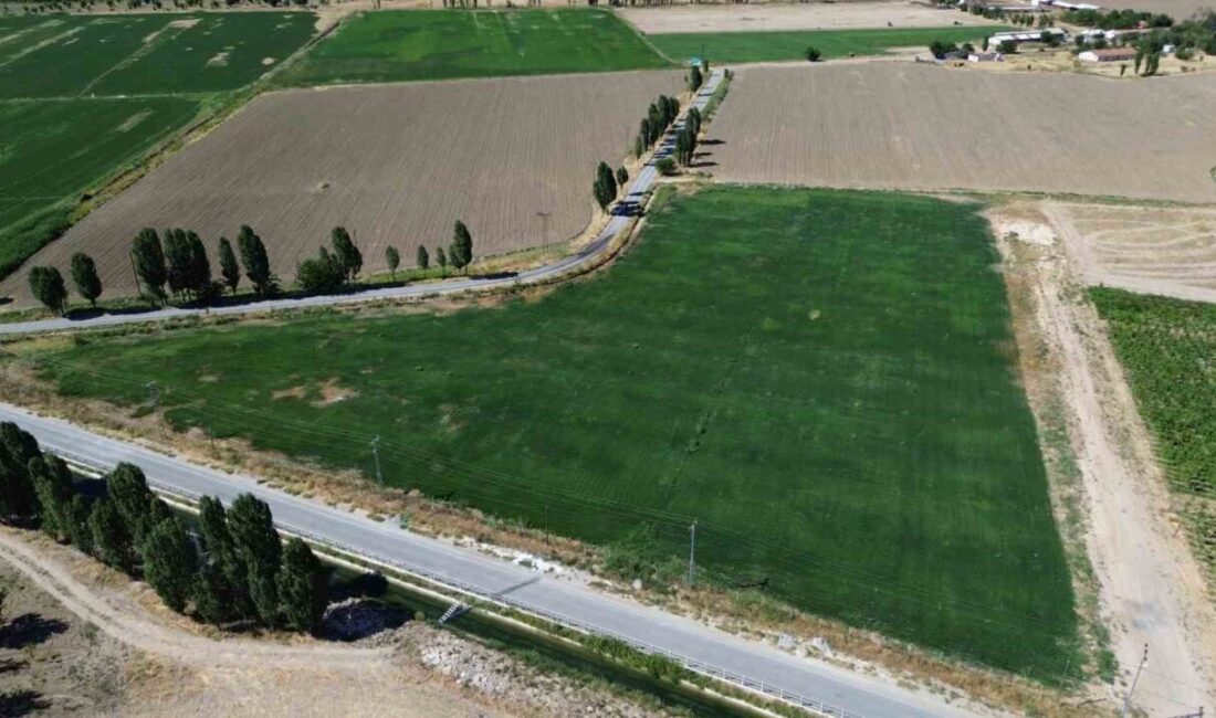 Battalgazi Belediyesi, Park ve Bahçeler Müdürlüğü bünyesindeki 95 bin metrekarelik