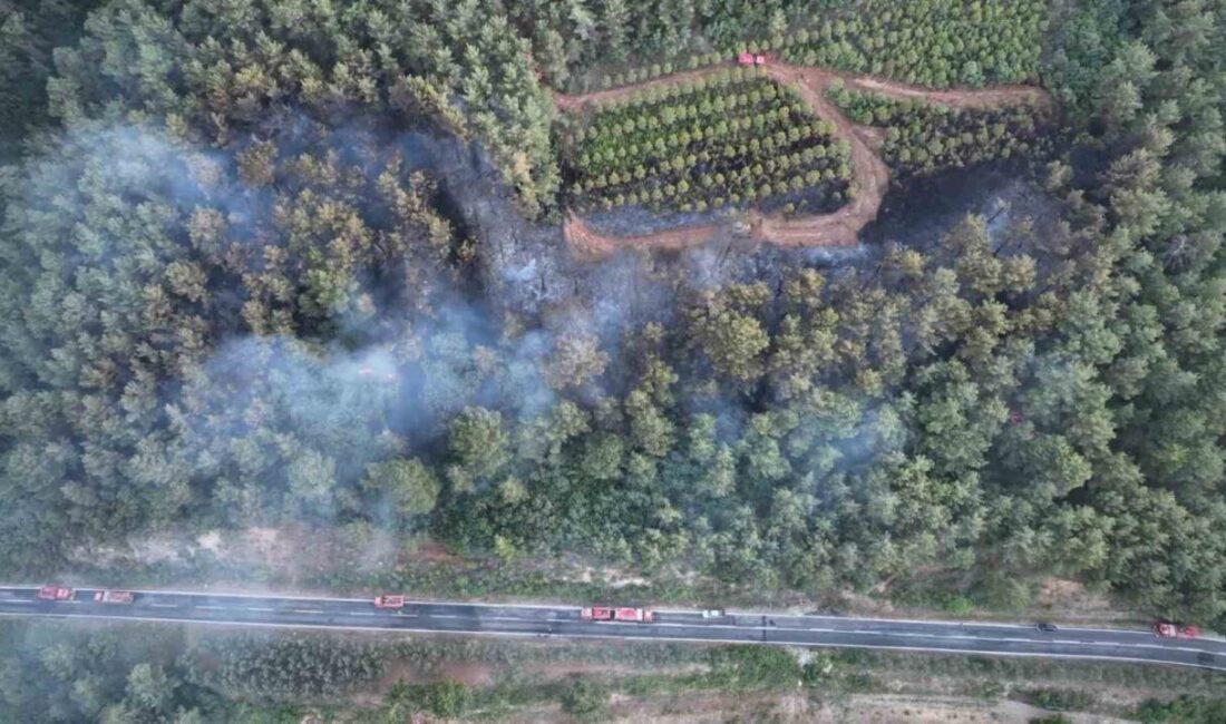 Çanakkale’nin Bayramiç ilçesinde ormanlık alanda çıkan yangın ekiplerin havadan ve