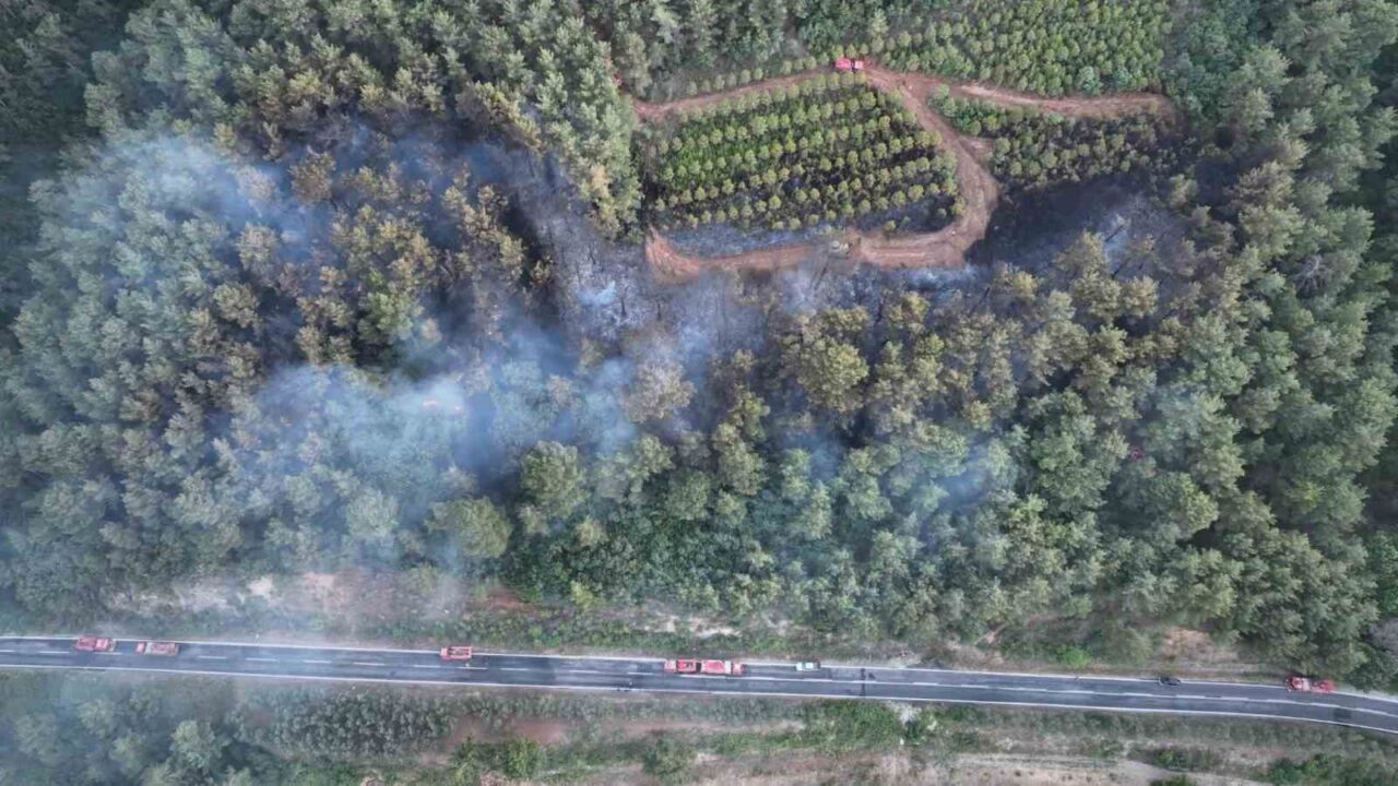 Çanakkale’nin Bayramiç ilçesinde ormanlık alanda çıkan yangın ekiplerin havadan ve