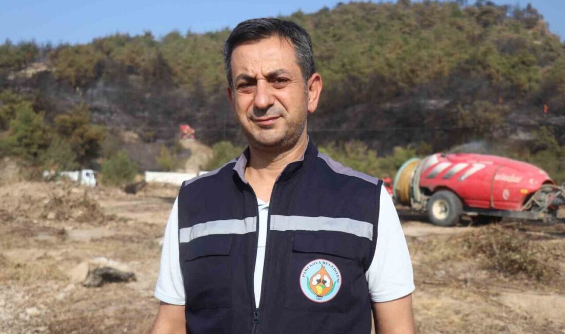 Sakarya’nın Geyve ilçesinde çıkan ve rüzgarın etkisiyle Bilecik sınırlarına da