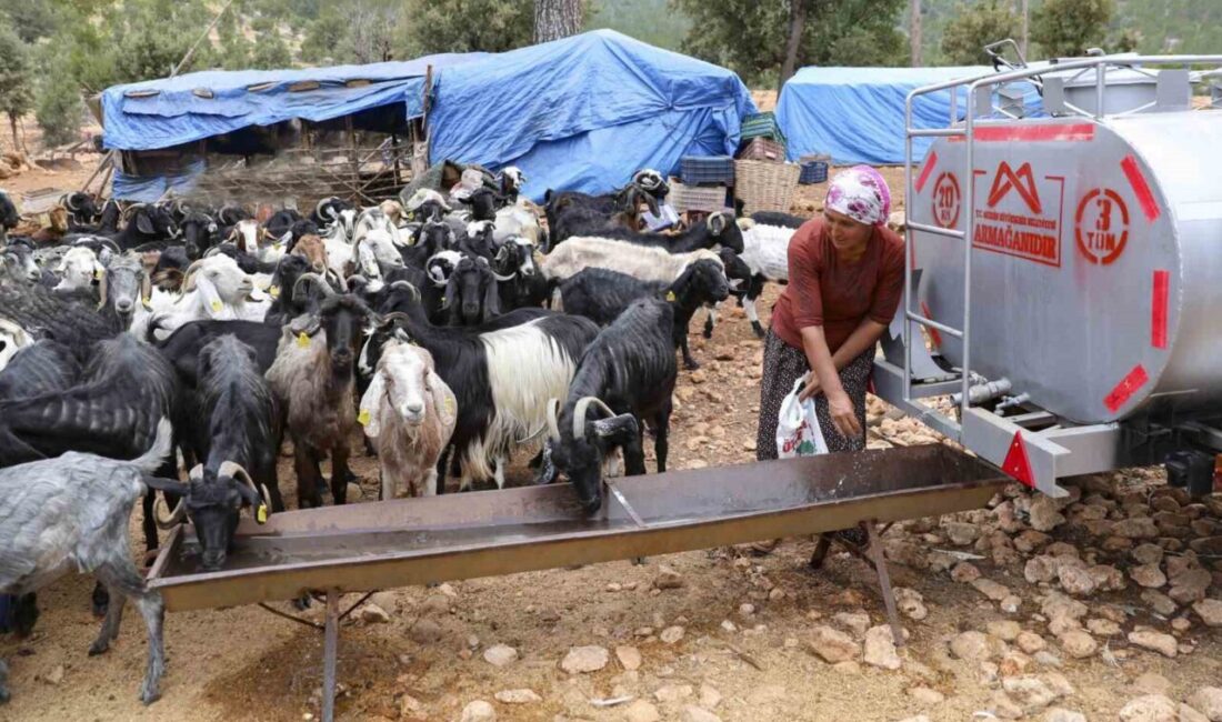 Mersin Büyükşehir Belediyesinin kuraklıkla mücadelede üreticiye yönelik hayata geçirdiği ‘Sulama