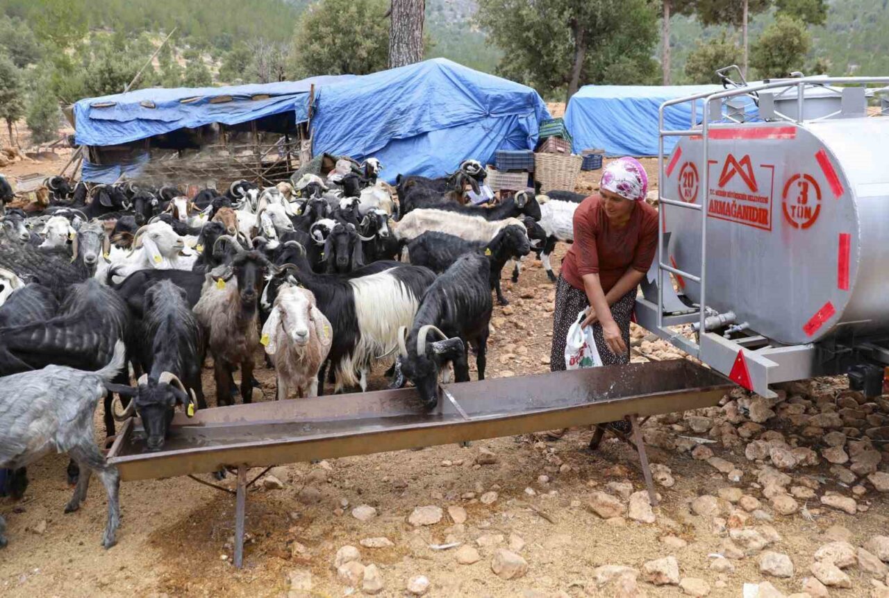 Mersin Büyükşehir Belediyesinin kuraklıkla mücadelede üreticiye yönelik hayata geçirdiği ‘Sulama