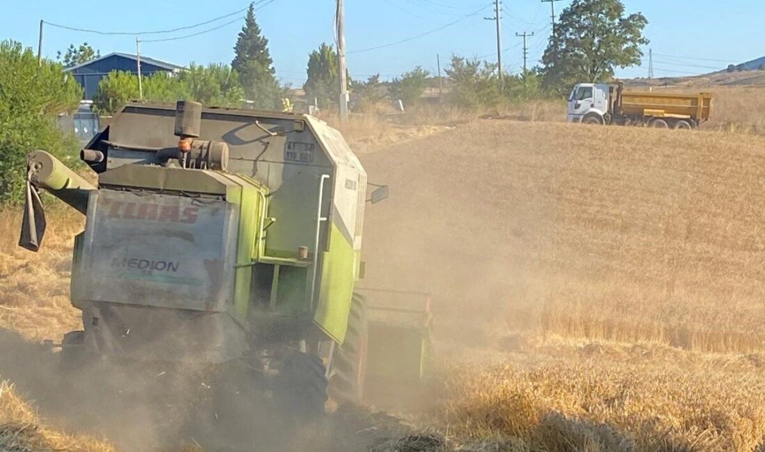 Körfez’de kırsal alanda atıl durumdaki 20 dönümlük tarım arazisine yapılan