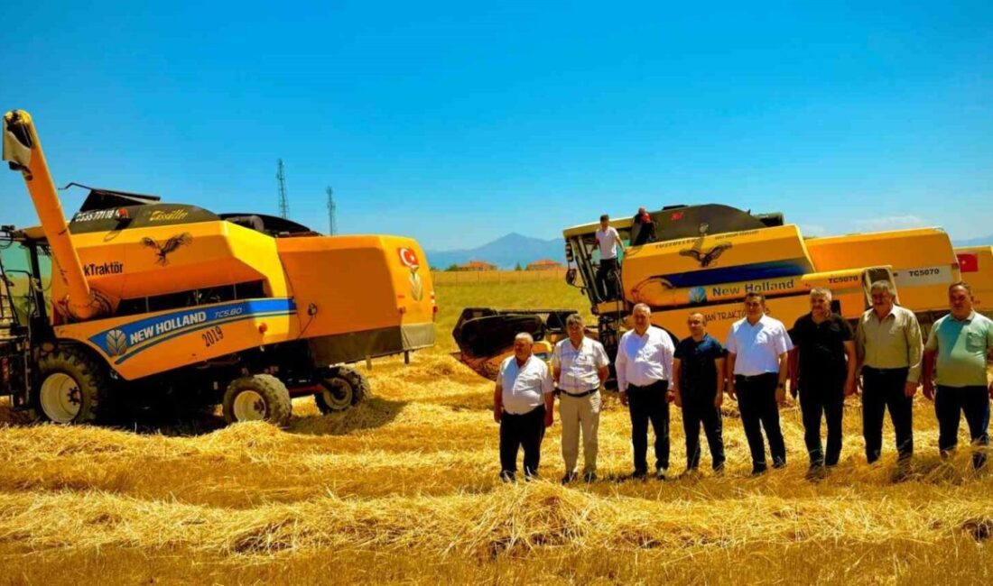 Afyonkarahisar’da belediyeye ait 850 dekarlık alana ekilen buğdayın hasadı yapılırken,