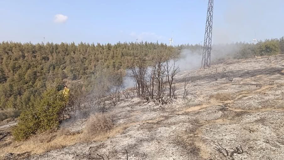 Hatay’da ormanlık alanda çıkan yangın, ekiplerin hızlı müdahalesiyle büyümeden söndürüldü.