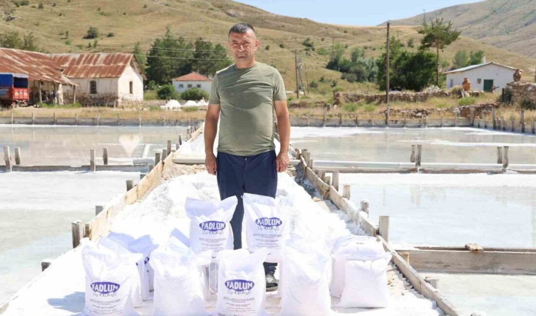 Sivas’ta yerin 7 metre altından çıkarılan tuzlu suyla tamamen organik