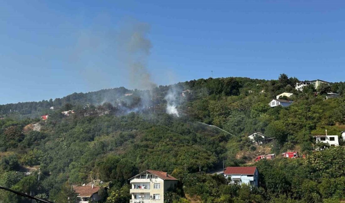 Beykoz’da bulunan ormanlık alanda yangın çıktı. Olay yerine çok sayıda