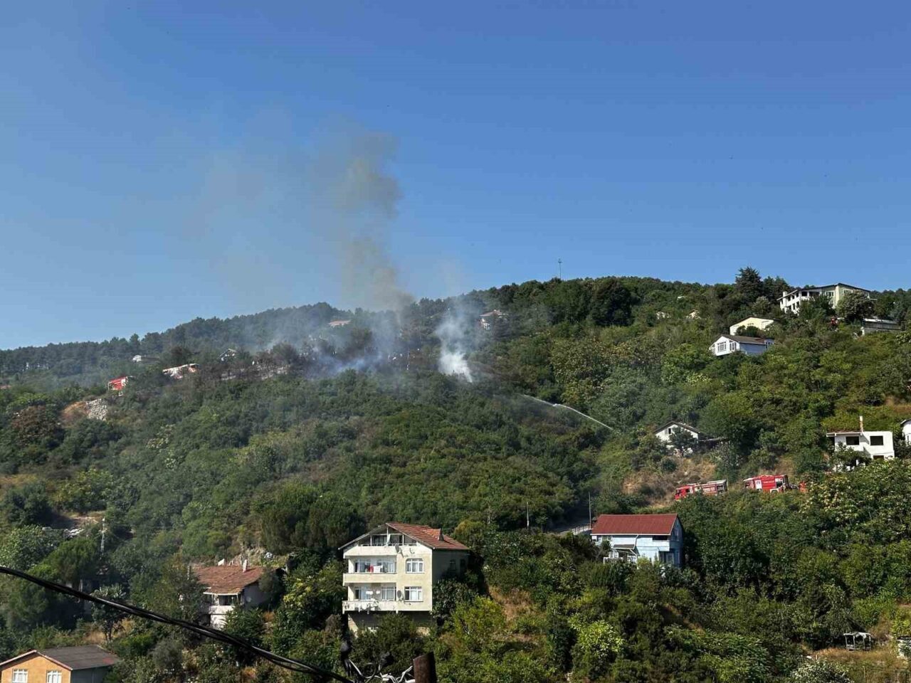 Beykoz’da bulunan ormanlık alanda yangın çıktı. Olay yerine çok sayıda