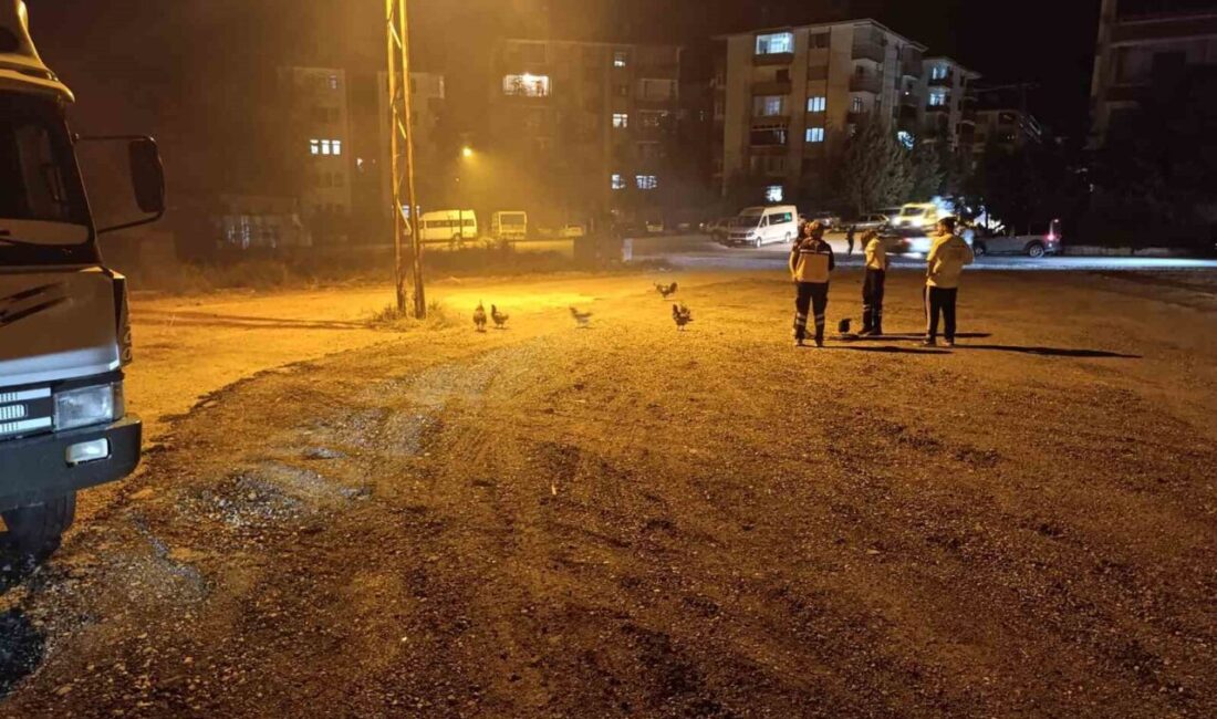 Ankara’nın Beypazarı ilçesinde bir kümeste çıkan yangında 41 tavuk telef