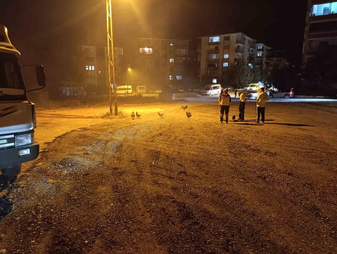 Ankara’nın Beypazarı ilçesinde bir kümeste çıkan yangında 41 tavuk telef