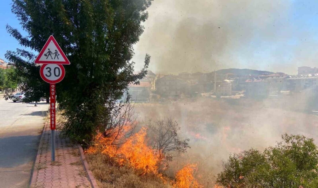 Konya’nın Beyşehir ilçesinde otluk alanda çıkan yangında, alevler yakındaki bahçeleri