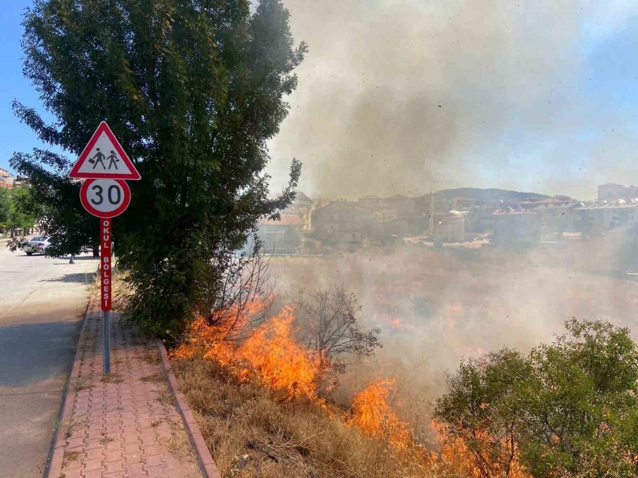 Konya’nın Beyşehir ilçesinde otluk alanda çıkan yangında, alevler yakındaki bahçeleri