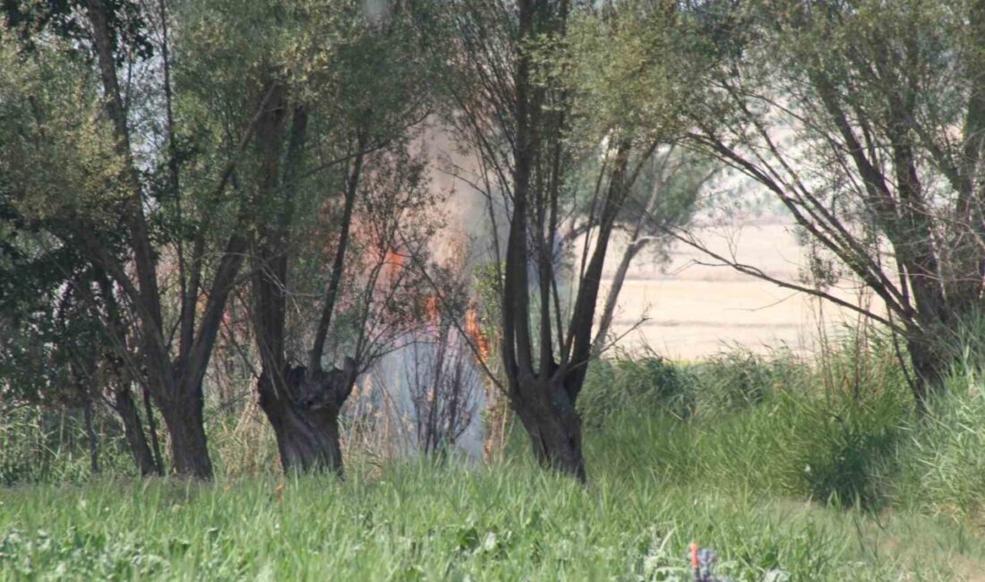 Konya’nın Beyşehir ilçesinde hasat sırasında biçerdöverde çıkan yangın büyümeden itfaiye
