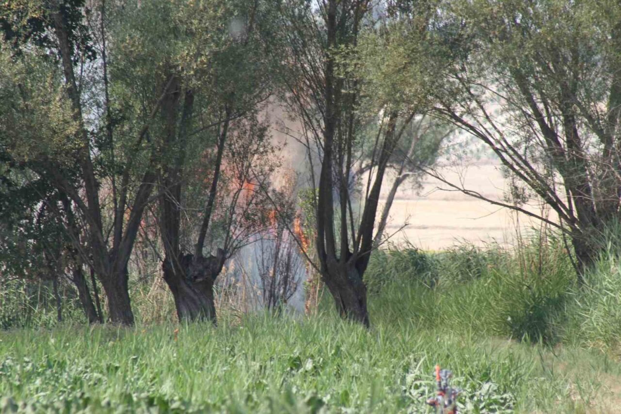 Konya’nın Beyşehir ilçesinde hasat sırasında biçerdöverde çıkan yangın büyümeden itfaiye
