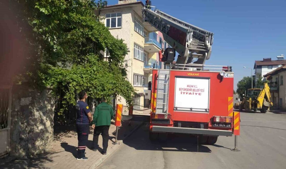 Konya’nın Beyşehir ilçesinde itfaiye ekipleri çatıda mahsur kalan bir kediyi