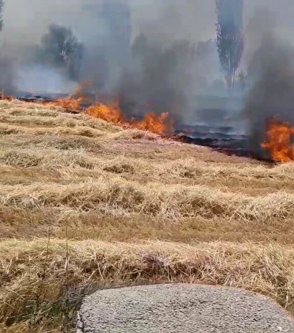 Konya’nın Beyşehir ilçesinde arazide çıkan anız yangını çevresindeki bahçe ve