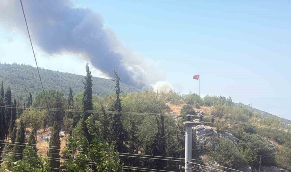 Bilecik’te 5 gün önce başlayan orman yangını bugün yerini dumanlara