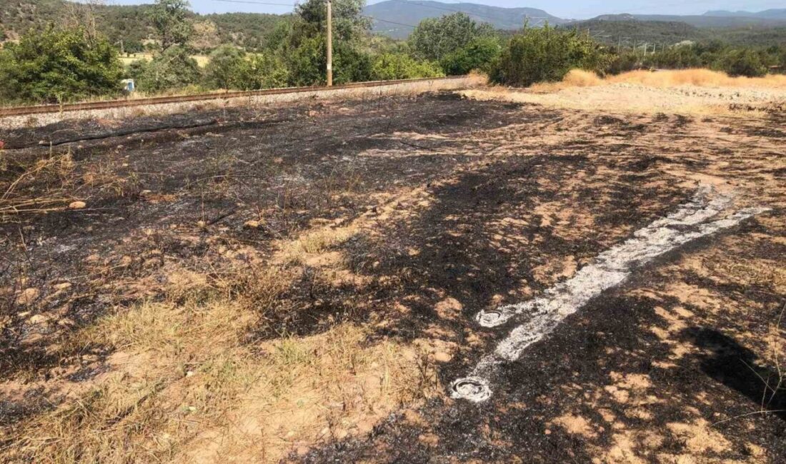 Bilecik‘in Osmaneli ilçesi Selimiye köyünde çıkan anız yangını, ekiplerin hızlı