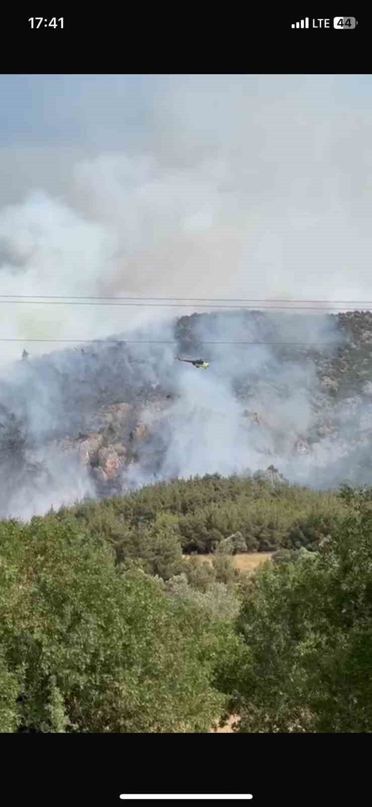 Bilecik’in Gölpazarı ilçesi yakınlarında başlayan ve kontrol altına alınan orman