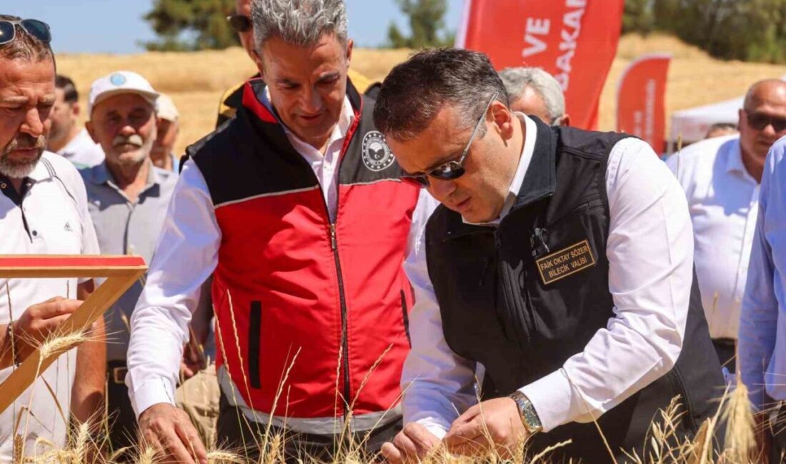 Bilecik’te 305 bin 863 dekar alanda buğday ekimi yapılmış, bu