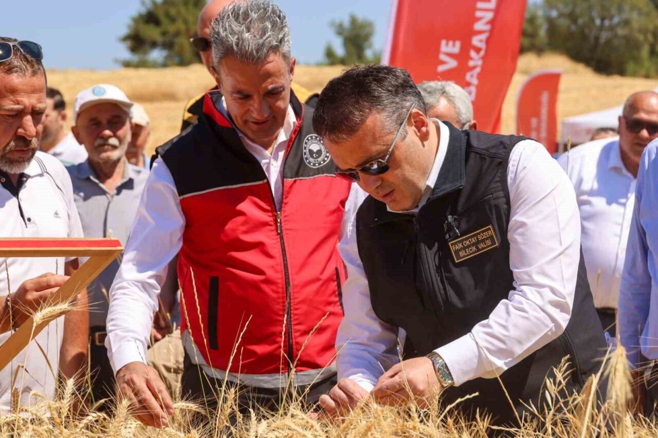 Bilecik’te 305 bin 863 dekar alanda buğday ekimi yapılmış, bu