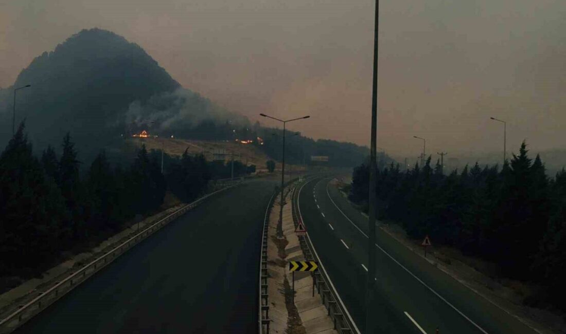 Bilecik’te orman yangını etkisini iyice arttırırken D-650 karayolu çift taraflı